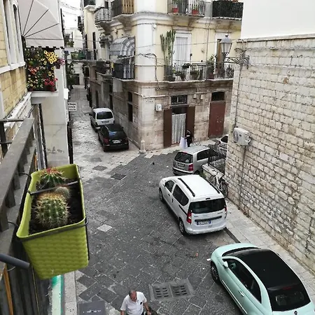 Daire Giorgia's House